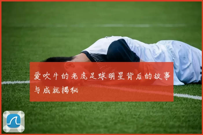爱吹牛的老虎足球明星背后的故事与成就揭秘