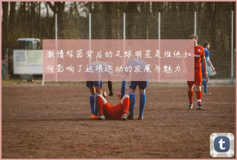 激情绿茵背后的足球明星是谁他如何影响了这项运动的发展与魅力