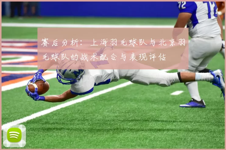 赛后分析：上海羽毛球队与北京羽毛球队的战术配合与表现评估