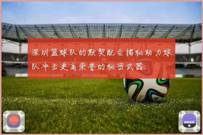深圳篮球队的默契配合揭秘助力球队冲击更高荣誉的秘密武器