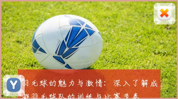 羽毛球的魅力与激情：深入了解成都羽毛球队的训练与比赛节奏