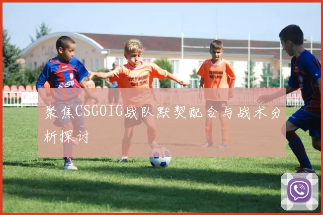 聚焦CSGOIG战队默契配合与战术分析探讨