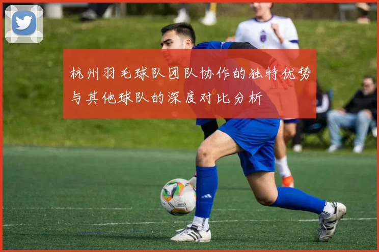 杭州羽毛球队团队协作的独特优势与其他球队的深度对比分析