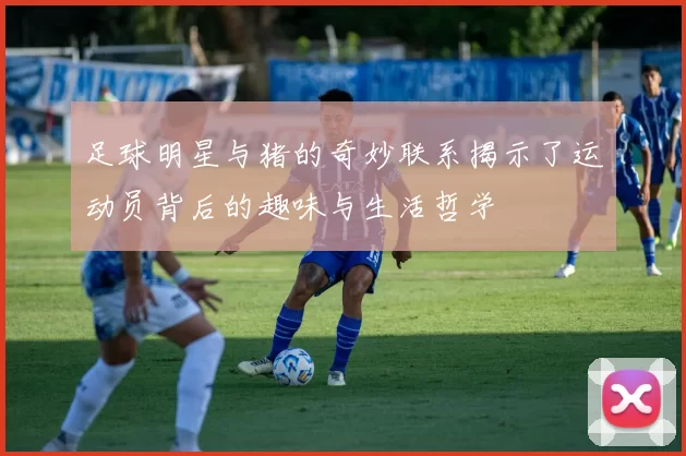 足球明星与猪的奇妙联系揭示了运动员背后的趣味与生活哲学