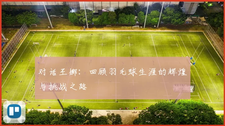 对话王娜：回顾羽毛球生涯的辉煌与挑战之路