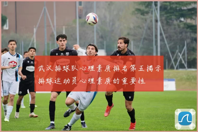 武汉排球队心理素质排名第五揭示排球运动员心理素质的重要性
