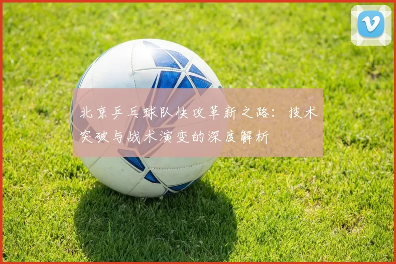 北京乒乓球队快攻革新之路：技术突破与战术演变的深度解析
