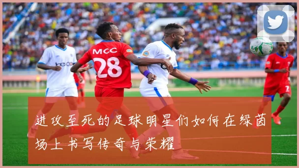 进攻至死的足球明星们如何在绿茵场上书写传奇与荣耀
