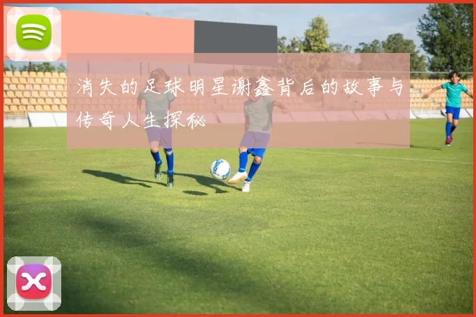 消失的足球明星谢鑫背后的故事与传奇人生探秘