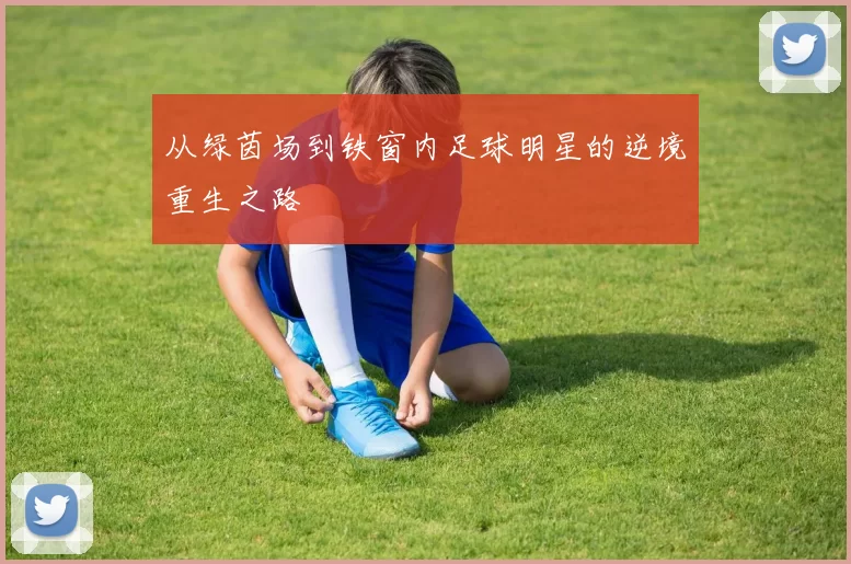 从绿茵场到铁窗内足球明星的逆境重生之路