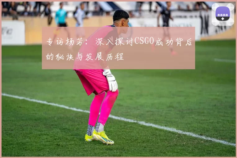 专访杨芳：深入探讨CSGO成功背后的秘诀与发展历程