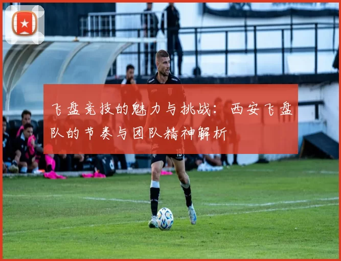 飞盘竞技的魅力与挑战：西安飞盘队的节奏与团队精神解析