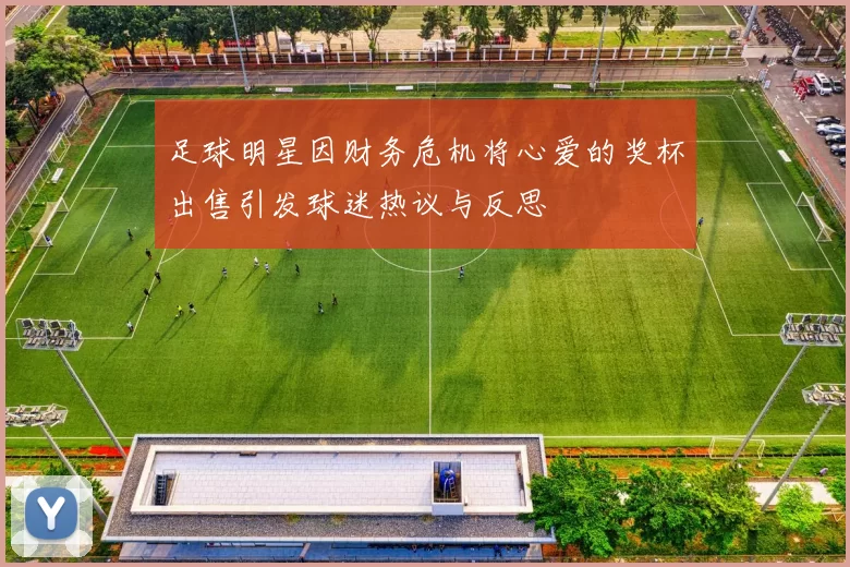 足球明星因财务危机将心爱的奖杯出售引发球迷热议与反思