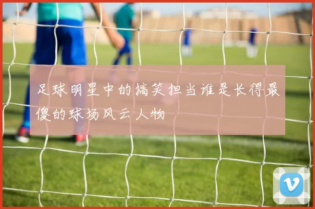 足球明星中的搞笑担当谁是长得最傻的球场风云人物
