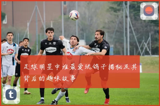 足球明星中谁最爱玩鸽子揭秘及其背后的趣味故事