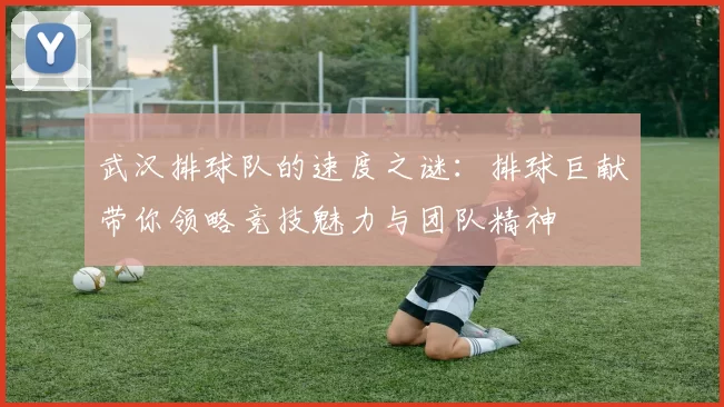 武汉排球队的速度之谜：排球巨献带你领略竞技魅力与团队精神
