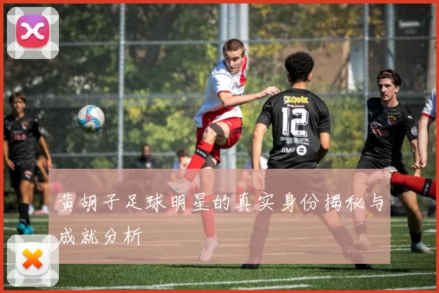 黄胡子足球明星的真实身份揭秘与成就分析