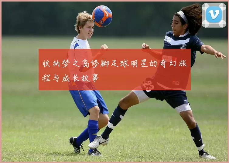 收纳梦之岛修脚足球明星的奇幻旅程与成长故事