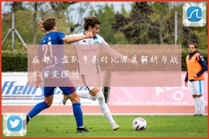 成都飞盘队节奏对比深度解析与战术演变探讨