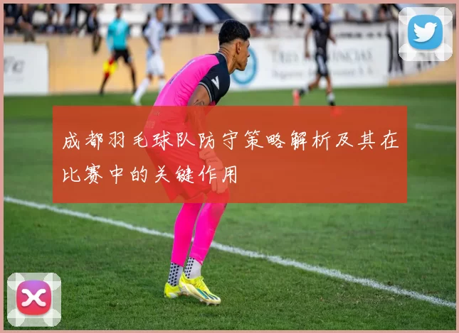 成都羽毛球队防守策略解析及其在比赛中的关键作用