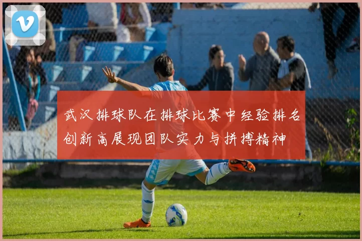 武汉排球队在排球比赛中经验排名创新高展现团队实力与拼搏精神