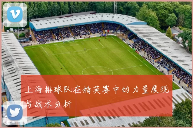 上海排球队在精英赛中的力量展现与战术分析