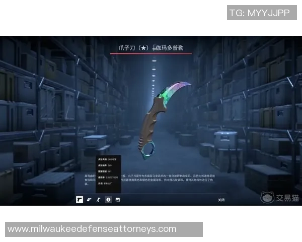 深度对话：赵芳如何在CSGO中追逐梦想与挑战自我